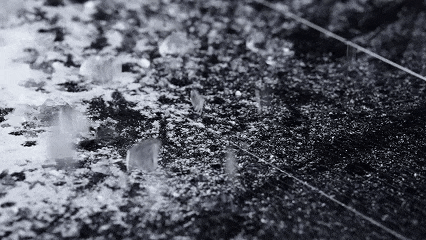 188e0cf2b947ac1e86aabd0d04ff5100.gif